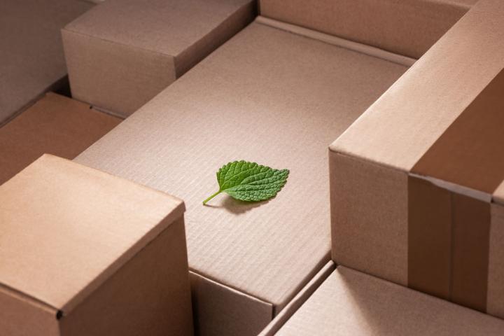 RSE et développement durable