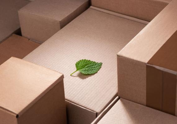 RSE et développement durable