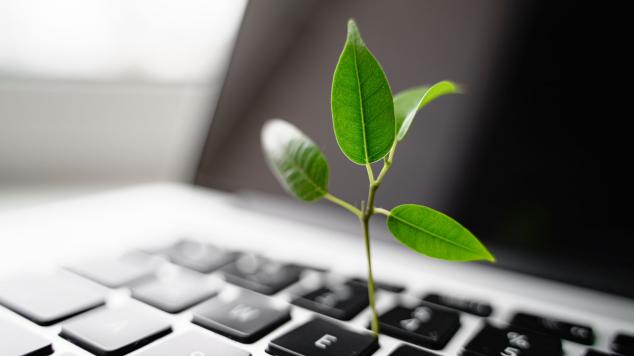 Green IT - feuille sur clavier d'ordinateur