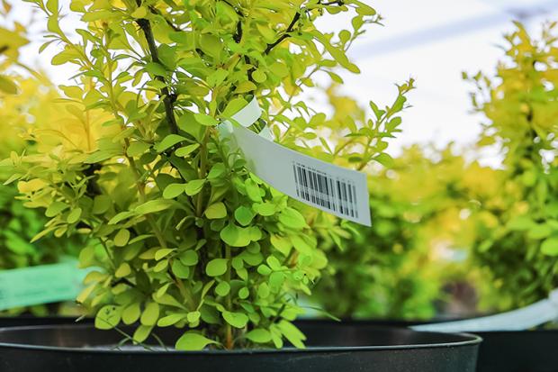 TIMCOD - Étiquettes boucle pour plantes et pépiniere
