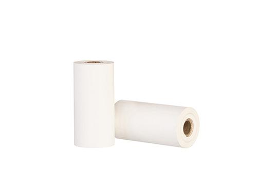 Papier reçus ZEBRA Z-Perform 1000D 80 Receipt 50 mm x 19 M 3003061