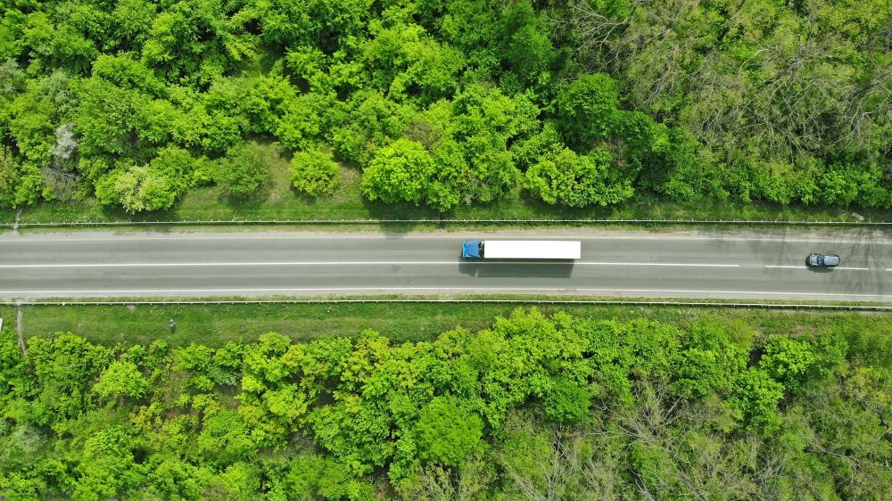 Camion sur la route entouré de végétation
